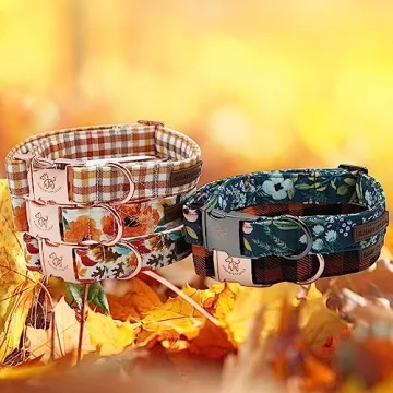 Elegant Floral Dog Collar for Medium Dogs - Durable Design