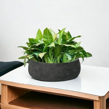 Elegant Modern Fiberstone Planter - Indoor Outdoor Pot