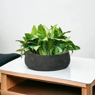 Elegant Modern Fiberstone Planter - Indoor Outdoor Pot