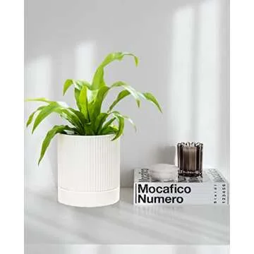 LaDoVita 3 Pack Ceramic Plant Pots 6/5/4 inch, Flowerpot for Indoor Plants with Drainage Holes and Tray, Outdoor Garden Planters, Modern Decorative for Home, White Vertical Stripes