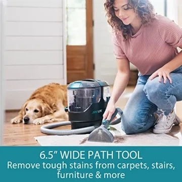 Kenmore KW2001 Portable Carpet Spot Cleaner for Tough Stains