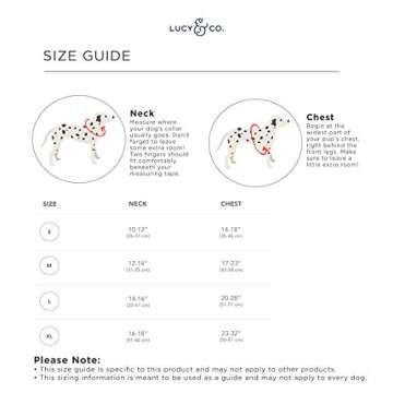 Reversible Dog Harness Walking Halter - Best Designer Pet Harnesses for Extra Small Medium Large XL Dogs Plus Pug Breeds - Padded Adjustable Puppy Vest for Easy Walking (Large, Prehistoric Party)