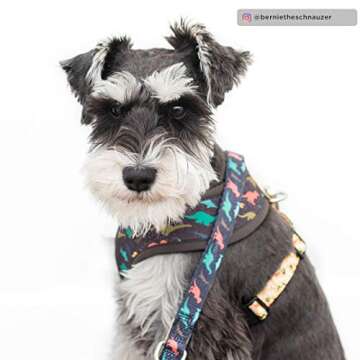 Reversible Dog Harness Walking Halter - Best Designer Pet Harnesses for Extra Small Medium Large XL Dogs Plus Pug Breeds - Padded Adjustable Puppy Vest for Easy Walking (Large, Prehistoric Party)