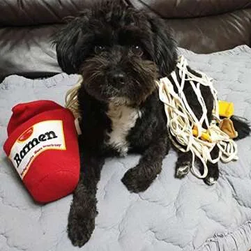 Great GREENWISH Snuffle Toy for Dogs, Ramen Cup Fun