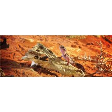 Exo Terra Crocodile Skull Terrarium Decor - Secure Hideout for Reptiles & Amphibians