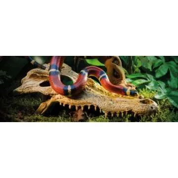 Exo Terra Crocodile Skull Terrarium Decor - Stylish & Safe