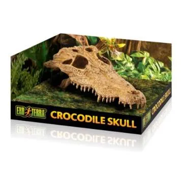 Exo Terra Crocodile Skull Terrarium Decor - Stylish & Safe