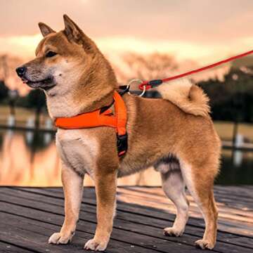 10 Pcs Stylish Carabiner Clips O Rings for Keychains & Crafts