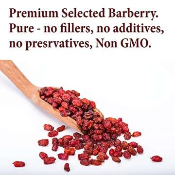 The Spice Way Premium Barberry - Pure Persian Zereshk Barberries (4 oz)