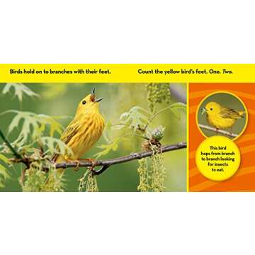 National Geographic Kids Look and Learn: Birds (Look & Learn)