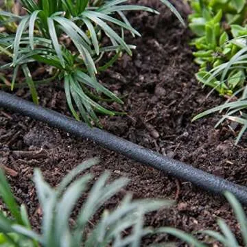 Raindrip 1/4 Inch Soaker Hose for Efficient Irrigation