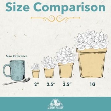 Live Succulent Plants 20 Pack Assorted Potted Houseplants