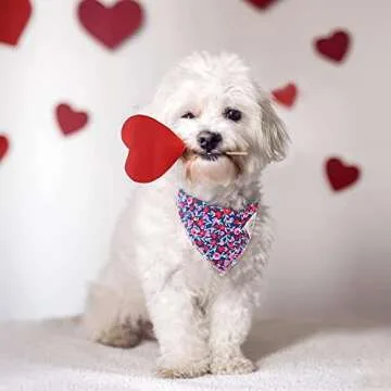 E-Clover Cute Dog Bandana & Scrunchie Set for Pet Moms