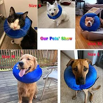 Katoggy Inflatable Dog Collar, Soft Dog Cone for Dogs After Surgery, Adjustable Blow up Donut E-Collars for Small Medium Large Dogs and Cats