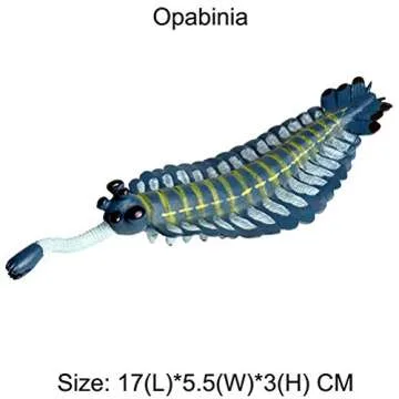 Flormoon Realistic Cambrian Animal Figures - Kids Educational Set