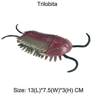 Flormoon Realistic Cambrian Animal Figures - Kids Educational Set