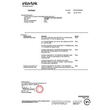 Coffeezone Latte Art Cup and Saucer for Latte & Cappuccino & Double Espresso, New Bone China, Mate for Coffee Shop and Barista (Glossy Pink, 10.5 oz)