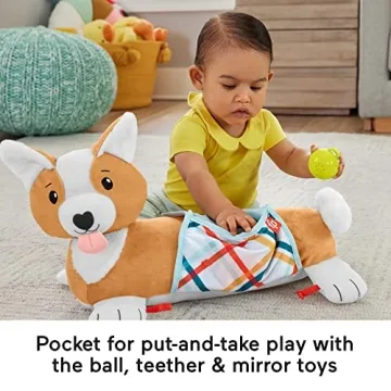 Fisher-Price Puppy Tummy Time Wedge for Newborns and Infants