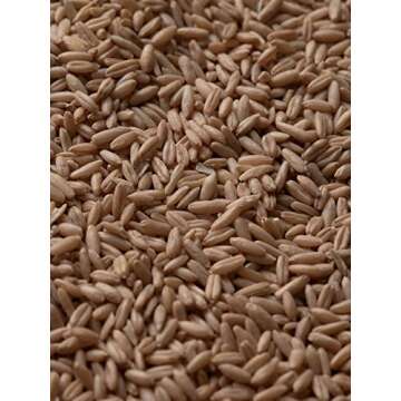 SIORIS Let me refresh foam cleanser 120ml 4.05fl.oz. slightly acid cleanser, nourish and soothe skin Korean skincare gift