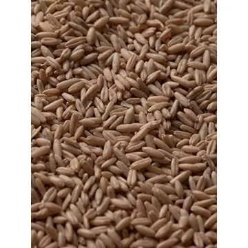 SIORIS Let Me Refresh Foam Cleanser for Glowing Skin