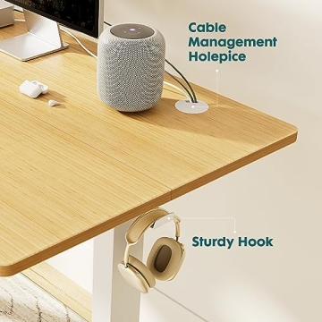SMUG Adjustable Electric Standing Desk for Home Office