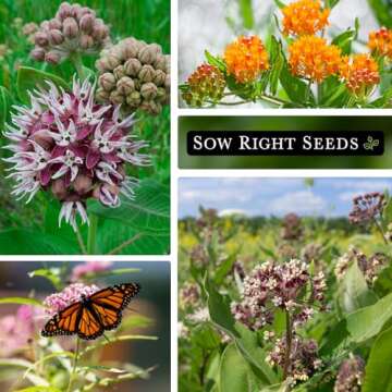 Sow Right Seeds - Milkweed Seed Collection - Varieties Included: Butterfly, Common, Rose and Showy Milkweed, Attracts Monarch and Other Butterflies to Your Garden - Non-GMO Heirloom Packet to Grow