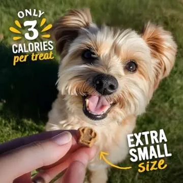 Blue Dog Bakery Perfect Trainers Natural Dog Treats 6 oz