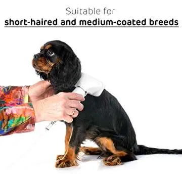 iPettie Pet Grooming Hair Dryer with Brush for Small Pets