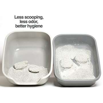 PetFusion Cat Litter Box Large (The BetterBox - Set of 2). Non-Stick Coating for Easier Cleaning and...