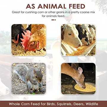 Moongiantgo Corn Grinder for Manual Grain Crushing