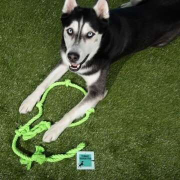 Tumbo Tough Tug Rope Dog Toy - (Green 5 ft Long Strong and Durable Rope Pull Toy with Handle) TUG of WAR Dog Toy