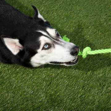 Tumbo Tough Tug Rope Dog Toy - (Green 5 ft Long Strong and Durable Rope Pull Toy with Handle) TUG of WAR Dog Toy