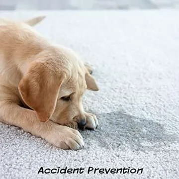 Pee Pads for Dogs - Set of Three Eco-Friendly Turf Mats