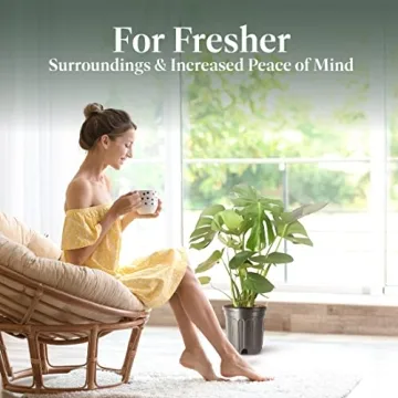 Monstera Deliciosa Plant with Edible Fruits for Home Décor