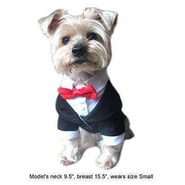 Alfie Pet - Oscar Formal Tuxedo with Black Tie and Red Bow Tie - Color: Black, Size: XS