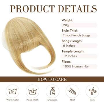 REECHO Bangs Hair Clip in Bangs, 100% Real Human Hair 3 Secure Clips in Blunt Cut Full Fringe French...