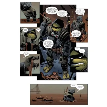Buy Teenage Mutant Ninja Turtles Last Ronin Graphic Novel