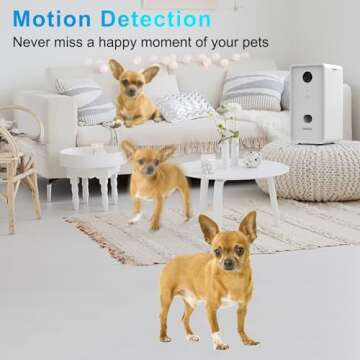 Iseebiz Pet Camera Treat Dispenser, 2.4G & 5G WiFi Dog Camera with 2 Way Audio Talk Listen, 1080P Ni...