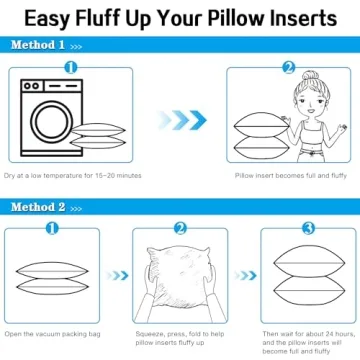 LEMONWORLD Waterproof Outdoor Pillow Inserts Set of 2