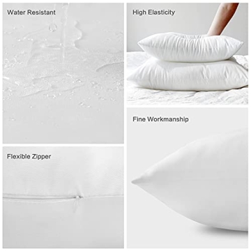 LEMONWORLD Waterproof Outdoor Pillow Inserts Set of 2