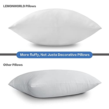 LEMONWORLD Waterproof Outdoor Pillow Inserts Set of 2