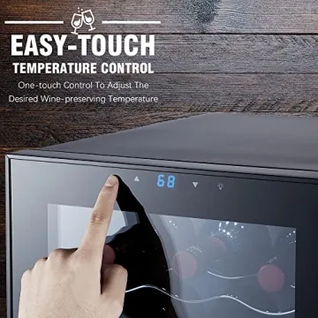 STAIGIS Dual-Zone Wine Cooler for 18 Bottles