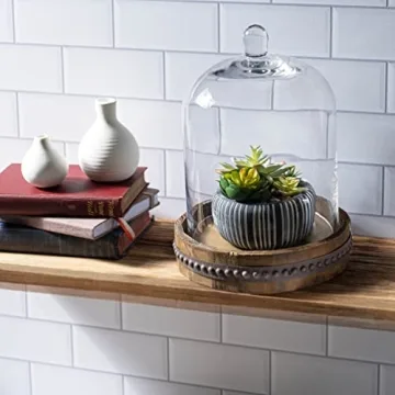 Stonebriar 9 Inch Clear Glass Dome Cloche with Rustic Wooden Base, Antique Bell Jar Display Dome, For Plants, Succulents, Fairy Lights, Photos, Medals, Decorative Fill, and More, Medium