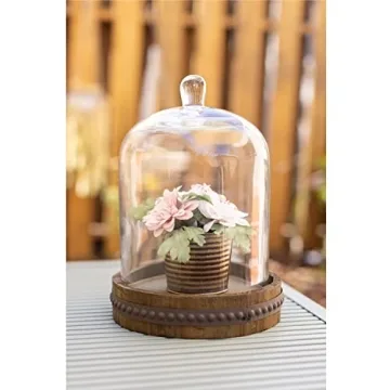 Stonebriar 9 Inch Clear Glass Dome Cloche with Rustic Wooden Base, Antique Bell Jar Display Dome, For Plants, Succulents, Fairy Lights, Photos, Medals, Decorative Fill, and More, Medium