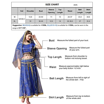 MISI CHAO Belly Dance Costume Bollywood Dress for Women