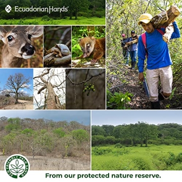 EcuadorianHands Palo Santo Sticks for Meditation & Yoga
