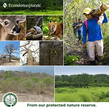 EcuadorianHands Palo Santo Sticks for Meditation & Yoga
