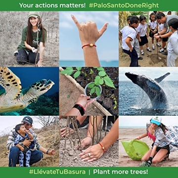 EcuadorianHands Palo Santo Sticks for Meditation & Yoga