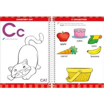 School Zone - Big Preschool Workbook - 320 Spiral Pages, Ages 3 to 5, Colors, Shapes, Numbers, Early Math, Alphabet, Pre-Writing, Phonics, Following Directions, and More (Big Spiral Bound Workbooks)