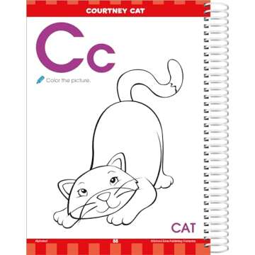 School Zone - Big Preschool Workbook - 320 Spiral Pages, Ages 3 to 5, Colors, Shapes, Numbers, Early Math, Alphabet, Pre-Writing, Phonics, Following Directions, and More (Big Spiral Bound Workbooks)